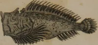 Picture 12 of 97 from A dictionary of arts and sciences (Volume 3) (1815), leaf 928