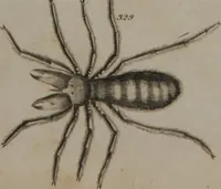 An illustration from A dictionary of arts and sciences (Volume 3) (1815)