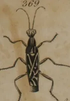 An illustration from A dictionary of arts and sciences (Volume 3) (1815)