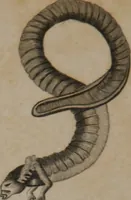 Picture 53 of 97 from A dictionary of arts and sciences (Volume 3) (1815), leaf 962