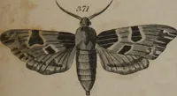 An illustration from A dictionary of arts and sciences (Volume 3) (1815)