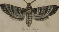 Picture 55 of 97 from A dictionary of arts and sciences (Volume 3) (1815), leaf 962