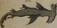 Picture 56 of 97 from A dictionary of arts and sciences (Volume 3) (1815), leaf 962