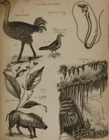 Picture 68 of 97 from A dictionary of arts and sciences (Volume 3) (1815), leaf 982