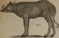 An illustration from A dictionary of arts and sciences (Volume 3) (1815)
