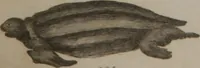 Picture 76 of 97 from A dictionary of arts and sciences (Volume 3) (1815), leaf 990