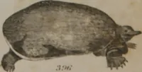 Picture 82 of 97 from A dictionary of arts and sciences (Volume 3) (1815), leaf 990