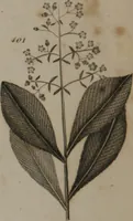 An illustration from A dictionary of arts and sciences (Volume 3) (1815)