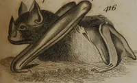 Picture 92 of 97 from A dictionary of arts and sciences (Volume 3) (1815), leaf 994