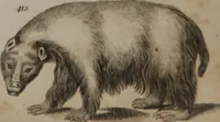 Picture 95 of 97 from A dictionary of arts and sciences (Volume 3) (1815), leaf 994
