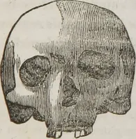 An illustration from Lectures on phrenology : including its application to the present and prospective condition of the United States (1839)