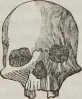 An illustration from Lectures on phrenology : including its application to the present and prospective condition of the United States (1839)