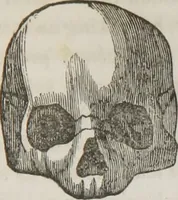 An illustration from Lectures on phrenology : including its application to the present and prospective condition of the United States (1839)