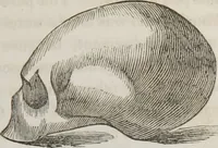 An illustration from Lectures on phrenology : including its application to the present and prospective condition of the United States (1839)