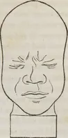 An illustration from Lectures on phrenology : including its application to the present and prospective condition of the United States (1839)