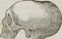 An illustration from Lectures on phrenology : including its application to the present and prospective condition of the United States (1839)