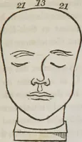 An illustration from Lectures on phrenology : including its application to the present and prospective condition of the United States (1839)