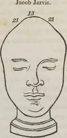 An illustration from Lectures on phrenology : including its application to the present and prospective condition of the United States (1839)