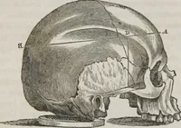 An illustration from Lectures on phrenology : including its application to the present and prospective condition of the United States (1839)