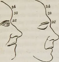 An illustration from Lectures on phrenology : including its application to the present and prospective condition of the United States (1839)