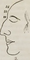 An illustration from Lectures on phrenology : including its application to the present and prospective condition of the United States (1839)