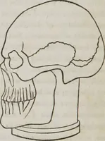 An illustration from Lectures on phrenology : including its application to the present and prospective condition of the United States (1839)