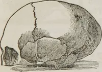An illustration from Lectures on phrenology : including its application to the present and prospective condition of the United States (1839)