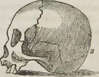 An illustration from Lectures on phrenology : including its application to the present and prospective condition of the United States (1839)