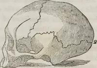 An illustration from Lectures on phrenology : including its application to the present and prospective condition of the United States (1839)