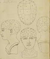 An illustration from Lectures on phrenology : including its application to the present and prospective condition of the United States (1839)