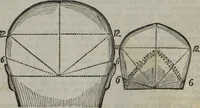 An illustration from Coombs's standard phrenology : exhibiting the exact phrenological admeasurements of above fifty distinguished and extraordinary personages, of both sexes : with skulls of the various nations of the world : embellished with above 50 engravings, and poetical descriptions of beauty, intellect, and physiognomy : with observations explanatory of the science, adapted to the character of [blank] (1841)