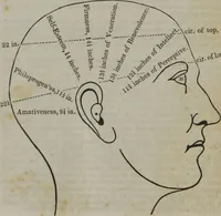 An illustration from Coombs's standard phrenology : exhibiting the exact phrenological admeasurements of above fifty distinguished and extraordinary personages, of both sexes : with skulls of the various nations of the world : embellished with above 50 engravings, and poetical descriptions of beauty, intellect, and physiognomy : with observations explanatory of the science, adapted to the character of [blank] (1841)