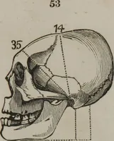 An illustration from Coombs's standard phrenology : exhibiting the exact phrenological admeasurements of above fifty distinguished and extraordinary personages, of both sexes : with skulls of the various nations of the world : embellished with above 50 engravings, and poetical descriptions of beauty, intellect, and physiognomy : with observations explanatory of the science, adapted to the character of [blank] (1841)