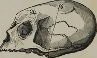 An illustration from Coombs's standard phrenology : exhibiting the exact phrenological admeasurements of above fifty distinguished and extraordinary personages, of both sexes : with skulls of the various nations of the world : embellished with above 50 engravings, and poetical descriptions of beauty, intellect, and physiognomy : with observations explanatory of the science, adapted to the character of [blank] (1841)