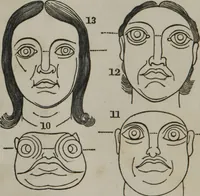 An illustration from Coombs's standard phrenology : exhibiting the exact phrenological admeasurements of above fifty distinguished and extraordinary personages, of both sexes : with skulls of the various nations of the world : embellished with above 50 engravings, and poetical descriptions of beauty, intellect, and physiognomy : with observations explanatory of the science, adapted to the character of [blank] (1841)