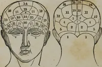 Picture 29 of 40 from Coombs's standard phrenology : exhibiting the exact phrenological admeasurements of above fifty distinguished and extraordinary personages, of both sexes : with skulls of the various nations of the world : embellished with above 50 engravings, and poetical descriptions of beauty, intellect, and physiognomy : with observations explanatory of the science, adapted to the character of [blank] (1841), leaf 73