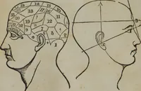 An illustration from Coombs's standard phrenology : exhibiting the exact phrenological admeasurements of above fifty distinguished and extraordinary personages, of both sexes : with skulls of the various nations of the world : embellished with above 50 engravings, and poetical descriptions of beauty, intellect, and physiognomy : with observations explanatory of the science, adapted to the character of [blank] (1841)