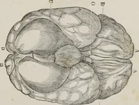 An illustration from Memory and intellectual improvement applied to self-education and juvenile instruction (1850)