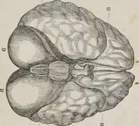 An illustration from Memory and intellectual improvement applied to self-education and juvenile instruction (1850)