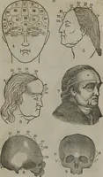 An illustration from Fowler's practical phrenology : giving a concise elementary view of phrenology : presenting some new and important remarks upon the temperaments : and describing the primary mental powers in seven different degrees of development : the mental phenomena produced by their combined action : and the location of the organs, amply illustrated by cuts : also the phrenological developments, together with the character and talents of ... as given by ... (1846)