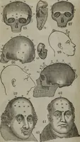 An illustration from Fowler's practical phrenology : giving a concise elementary view of phrenology : presenting some new and important remarks upon the temperaments : and describing the primary mental powers in seven different degrees of development : the mental phenomena produced by their combined action : and the location of the organs, amply illustrated by cuts : also the phrenological developments, together with the character and talents of ... as given by ... (1846)