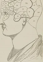 An illustration from Etherology, or, The philosophy of mesmerism and phrenology : including a new philosophy of sleep and of consciousness : with a review of the pretensions of neurology and phreno-magnetism (1845)