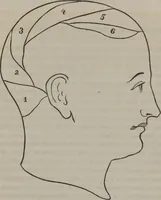 An illustration from Phreno-geology : the progressive creation of man : indicated by natural history, and confirmed by discoveries which connect the organization and functions of the brain with the successive geological periods (1851)