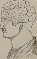 An illustration from Phreno-geology : the progressive creation of man : indicated by natural history, and confirmed by discoveries which connect the organization and functions of the brain with the successive geological periods (1851)