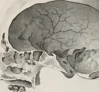 An illustration from An examination of phrenology : in two lectures : delivered to the students of the Columbian College, District of Columbia, February, 1837 (1839)
