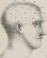 An illustration from An examination of phrenology : in two lectures : delivered to the students of the Columbian College, District of Columbia, February, 1837 (1839)
