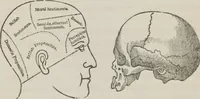 An illustration from Lectures on mental science according to the philosophy of phrenology : delivered before the Anthropological Society of the Western Liberal Institute of Marietta, Ohio, in the autumn of 1851 (1854)