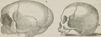 An illustration from Lectures on mental science according to the philosophy of phrenology : delivered before the Anthropological Society of the Western Liberal Institute of Marietta, Ohio, in the autumn of 1851 (1854)