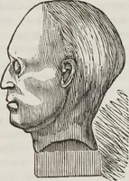 An illustration from Marriage, its history and ceremonies : with a phrenological and physiological exposition of the functions and qualifications for happy marriages (1848)