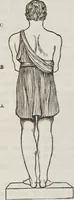 An illustration from Marriage, its history and ceremonies : with a phrenological and physiological exposition of the functions and qualifications for happy marriages (1848)